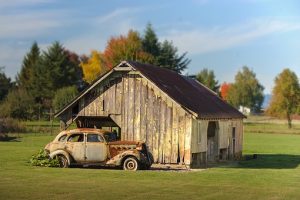 板谷由夏の子供は何人で学校はどこ？出身高校や大学を調査！