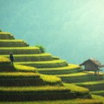 あわ(農家民宿)はどこ?グランマキッチンえりこの予約方法やメニューは?人生の楽園