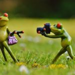 ピクピクンの年齢や職業は?バンドの経歴とすっぴん画像を調査!
