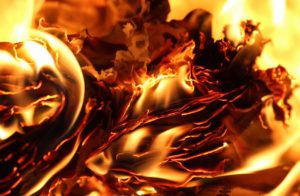 日直島田のwikiプロフィールと年齢!出身高校や大学はどこ?