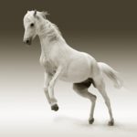 ケイタ(競馬youtuber)のプロフィールと経歴!競馬予想は当たる?