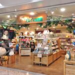 どんぐり共和国福袋2023の中身ネタバレ!発売日や予約と口コミを紹介!