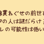 綿貫ねぐせの前世と中の人は謎だらけ?顔バレの可能性は低い!?