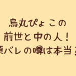 烏丸ぴょこの前世と中の人!顔バレの噂は本当?